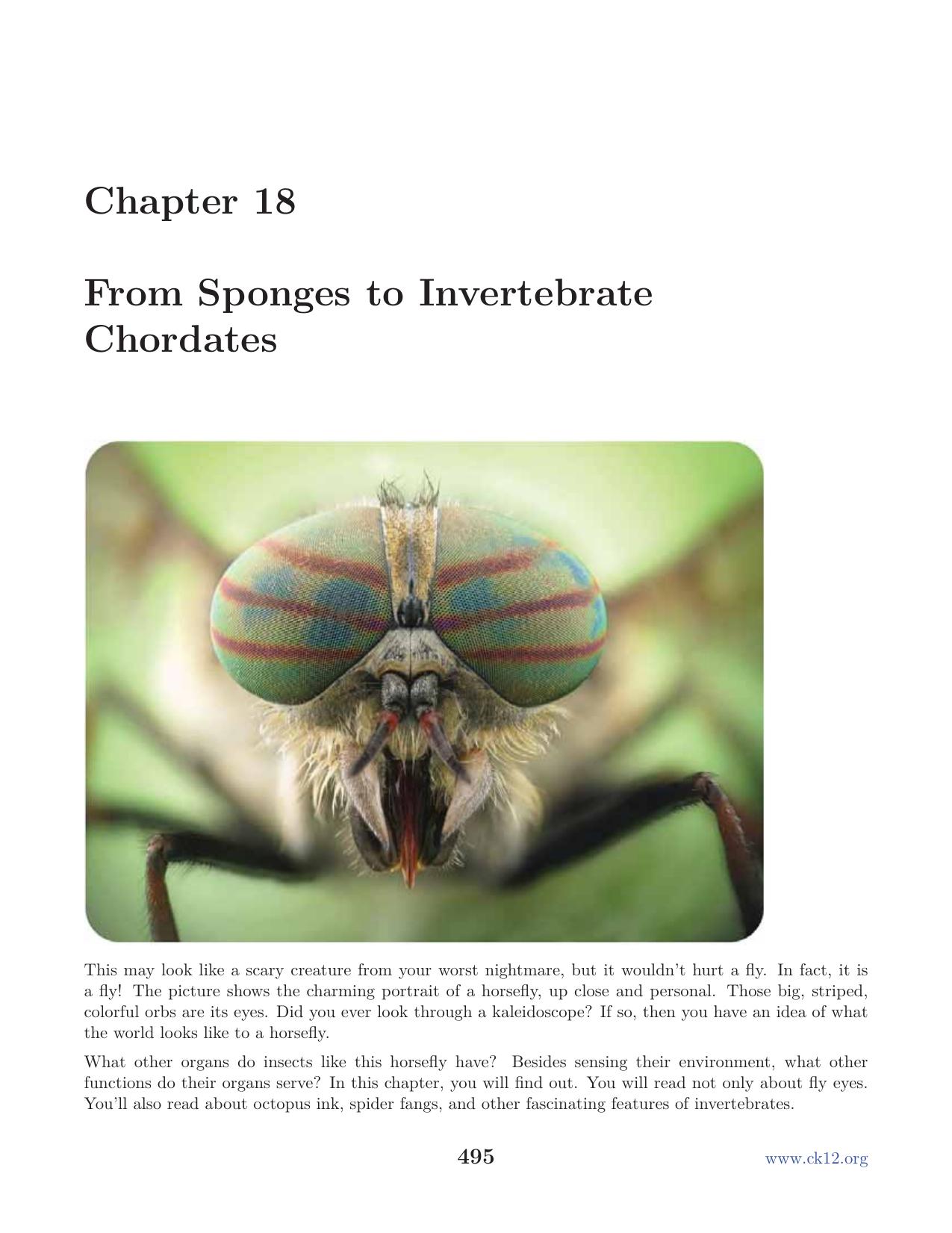 Biology Chapter18